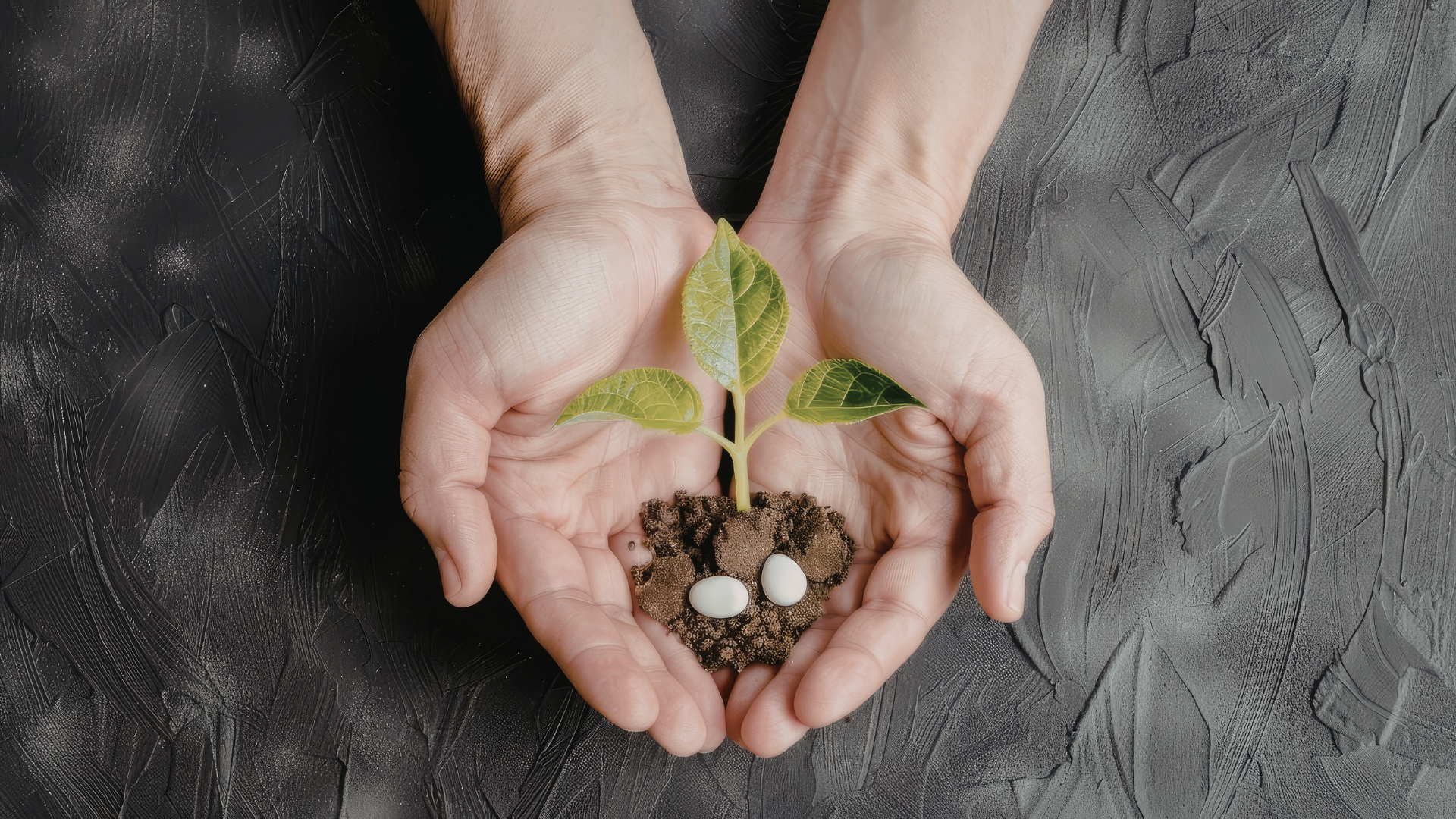 Al via Cosmofarma Exhibition 2023